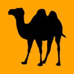 Digital Nomad Web Design